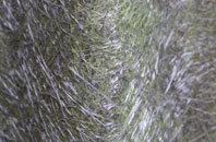 Farthing Green fibreglass roof work